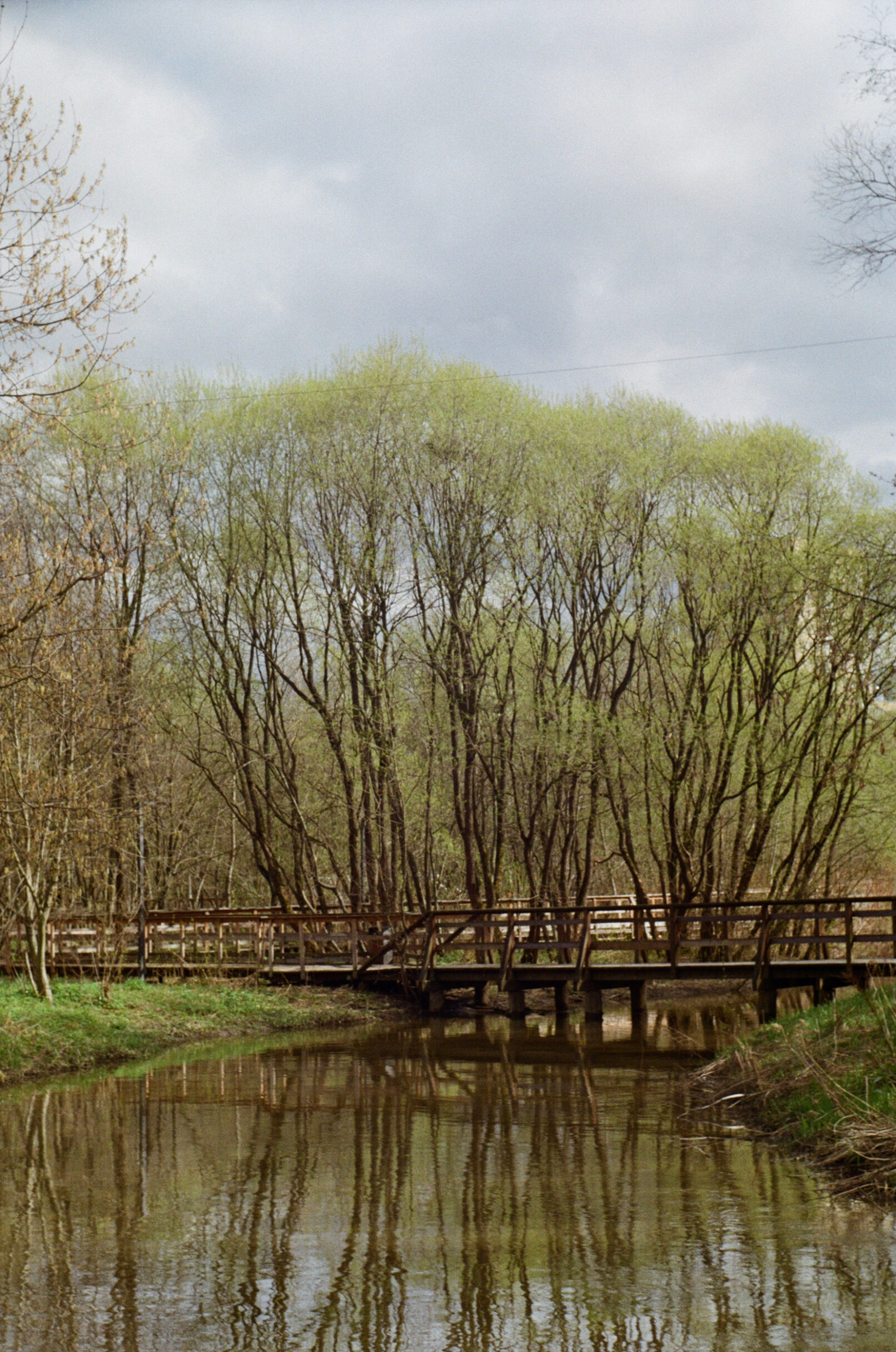 First signs of spring