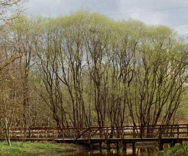 First signs of spring