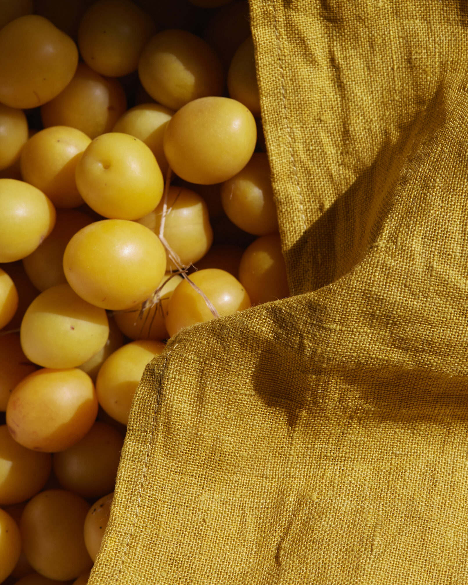 FROM LITHUANIA – August